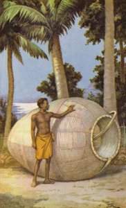 Homme de Nouvelle-Guinée avec piège à poissons