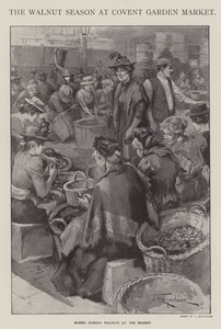 La saison des noix au marché de Covent Garden, Londres