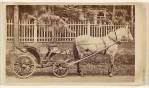 [Petite voiture avec cheval]
