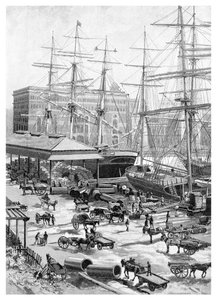 Transport maritime, Circular Quay, Sydney, Nouvelle-Galles du Sud, Australie