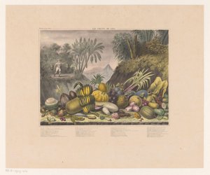 Fruits javanais - J. Schnell