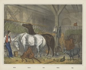 Écurie