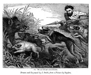 Chasse au sanglier, c1600-1650 1843