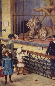 Dans la maison des lions au zoo de Londres