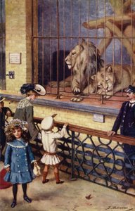 Dans la maison des lions au zoo