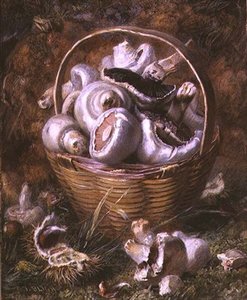 Champignons