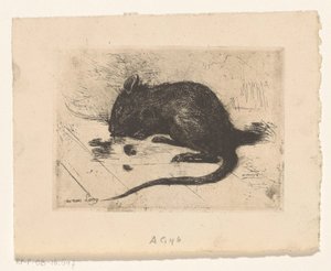 Souris