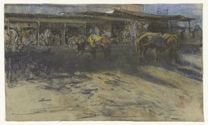 Ânes de bât sur la Grande Place à Tanger - Jac van Looij