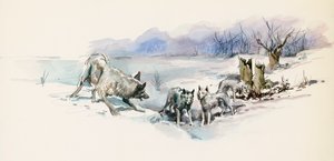 Meute de loups, du roman d