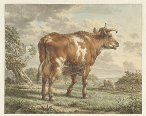 Vache pie rouge dans un paysage - Jacob  Cats