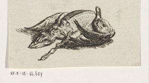 Canard mort - Jacob Elias van Varelen