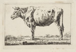 Boeuf debout, vers la gauche - Jacob Elias van Varelen
