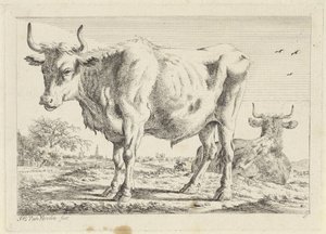Bœuf debout et couché - Jacob Elias van Varelen