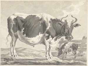 Taureau pie noir et un cochon
