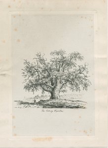 Tutbury - "Orme de Wych": gravure, vers 1820