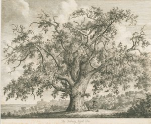 Tutbury - "Orme de Wych" : gravure - Jacob George Strutt
