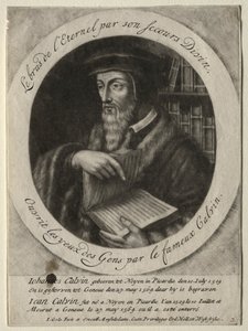 Jean Calvin - Jacob Gole
