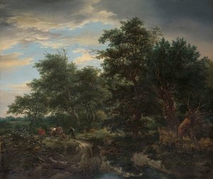 Scène de forêt - Jacob van Ruisdael
