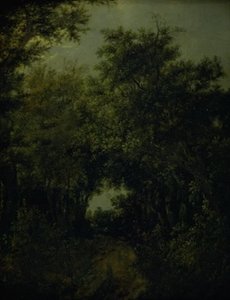 Route dans une forêt de chênes - Jacob van Ruisdael