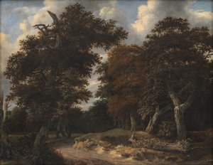 Route à travers une forêt de chênes