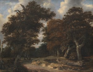 Route à travers une forêt de chênes