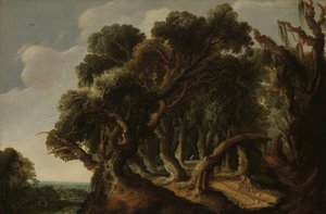 Paysage boisé