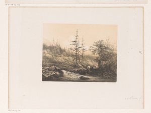 Paysage forestier avec rivière