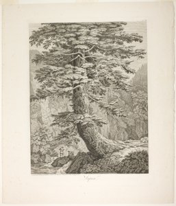 Sapin - Jacob Philipp Hackert