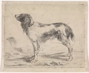 Chien debout