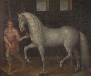 Cheval de guerre espagnol capturé par Lodewijk Gunther van Nassau et présenté au Prince Maurits