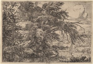Cottage sur une colline - Jacob van Ruisdael