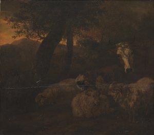 Troupeau de moutons dans un bois