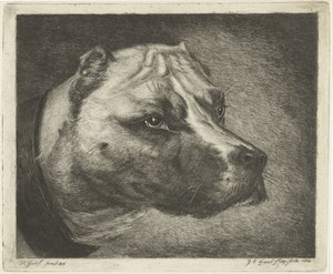 Tête de chien avec collier