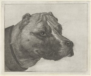 Tête de chien avec collier