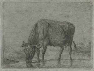 Vache buvant dans une flaque - Jacobus Cornelis Gaal