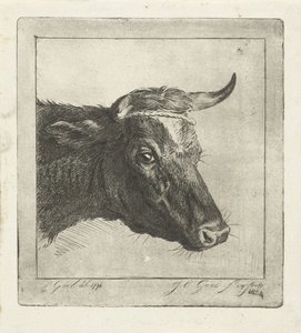 Tête de vache avec corde autour des cornes - Jacobus Cornelis Gaal