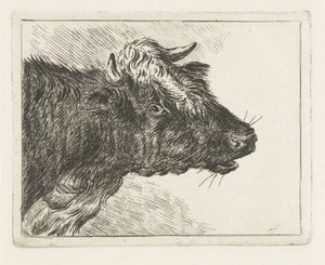 Bœuf mugissant - Jacobus Cornelis Gaal