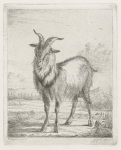 Chèvre debout - Jacobus Cornelis Gaal
