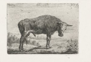Taureau debout - Jacobus Cornelis Gaal