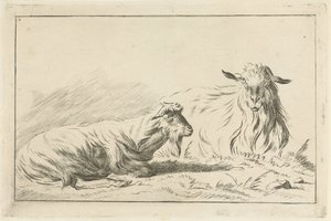 Deux chèvres couchées
