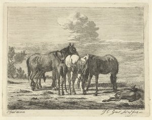 Quatre chevaux et deux poulains