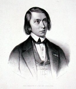 Portrait de Josephus Hermanus Verhulst (1816-91)