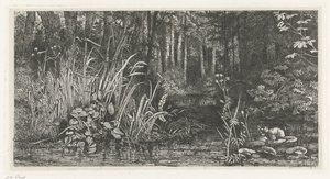 Ruisseau forestier