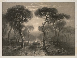 Oeuvres de A. Calame, No. 13: Forêt de Sierre en Valais - Jacomme and Cie. R. de Lancry, 12, Paris