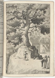 Hêtre avec la cloche (Faggio della campana) [plaque X]