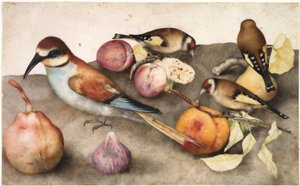 Nature morte avec oiseaux et fruits - Jacopo Ligozzi