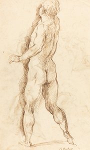 Homme nu vu de dos - Jacopo Palma il Giovane