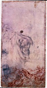 Étude pour un portrait de Cosimo I Giovinetto avec d