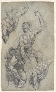 Études de "Samson et les Philistins" de Michel-Ange