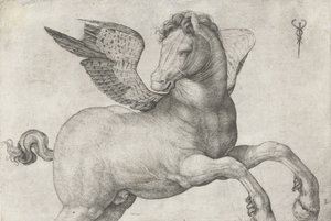 Pégase, 1509-16 - Jacopo de Barbari